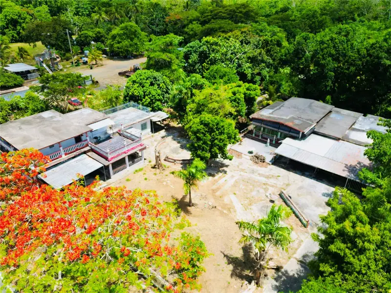Carr 368 Bo.Machuchal, PR