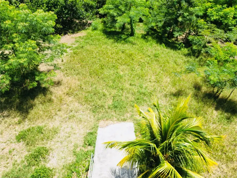 Carr 368 Bo.Machuchal, PR