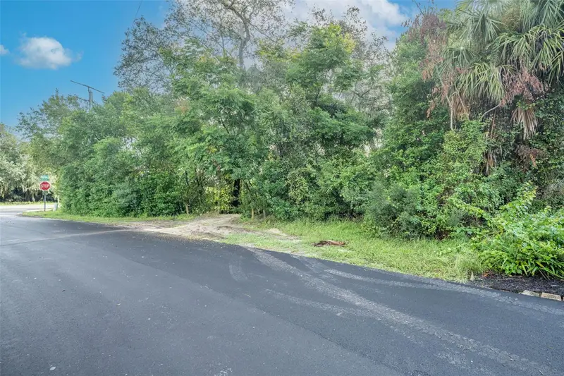 2163 Van Orman Dr, FL