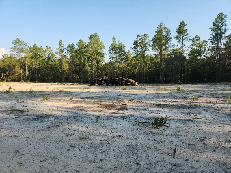 135th Avenue, FL