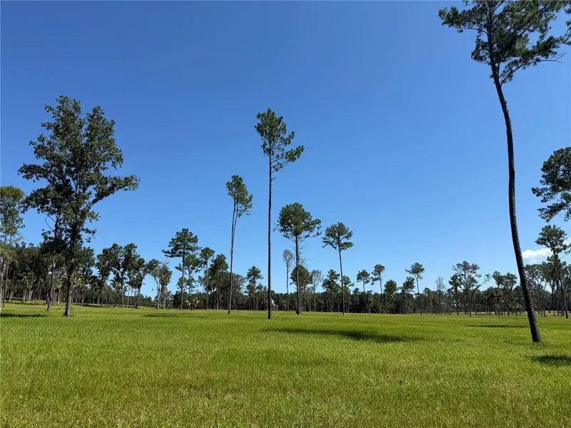 Dr #5 (24ac) 193rd St, FL