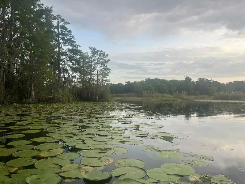 1135 N Jackadee Pt, FL