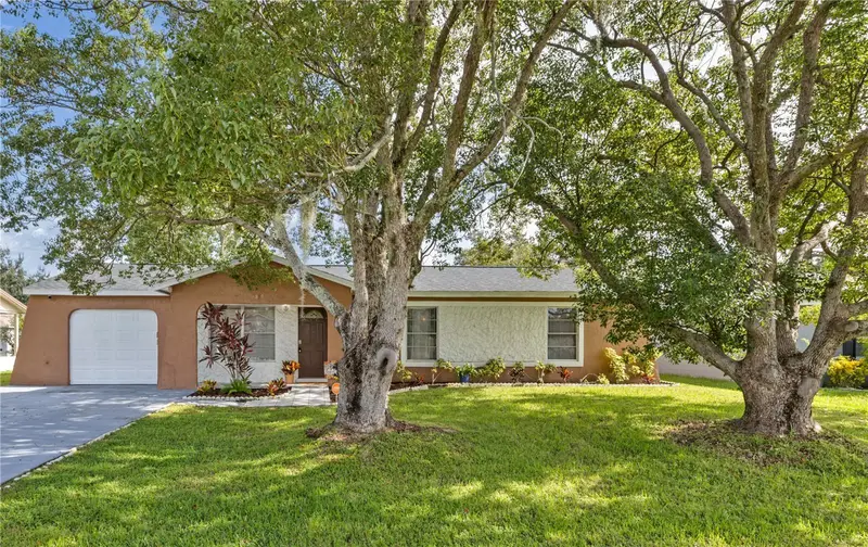 819 Nelson Dr, FL