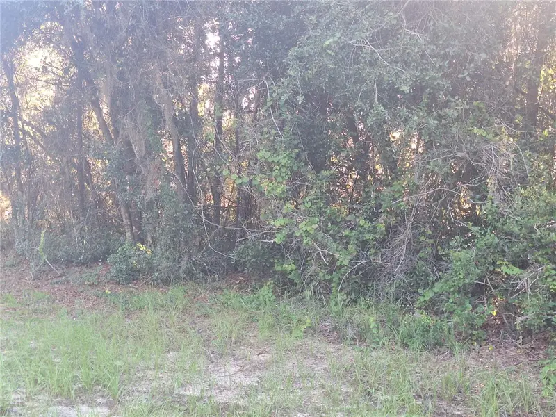 93 Courtland Blvd, FL