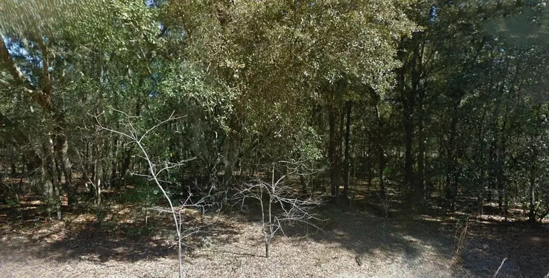 202 Cedar Trl, FL