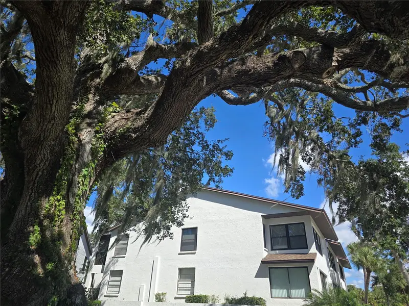 411 S Bayshore Blvd #1, FL