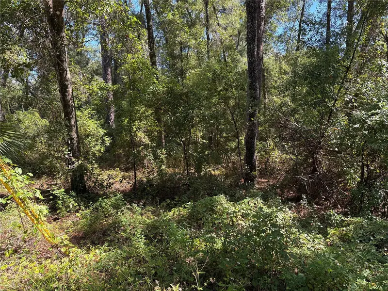 1228 Clover Ter, FL