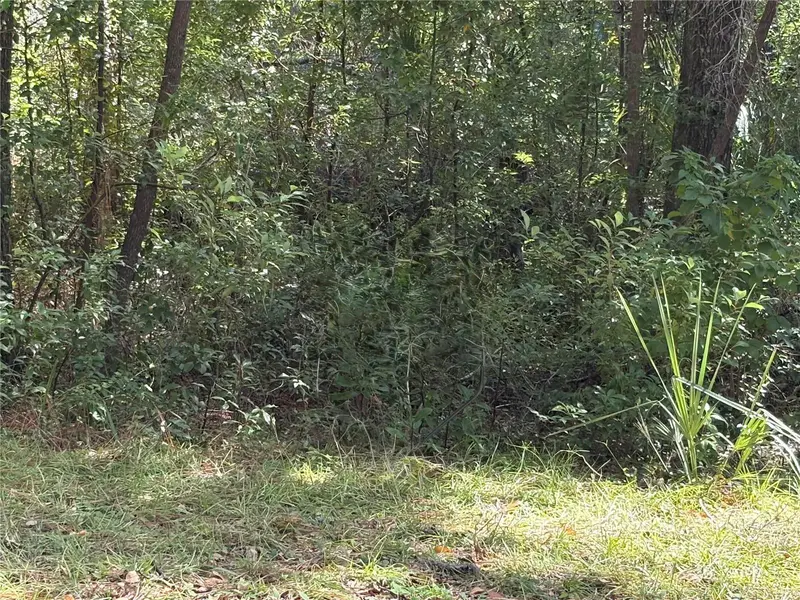 1228 Clover Ter, FL