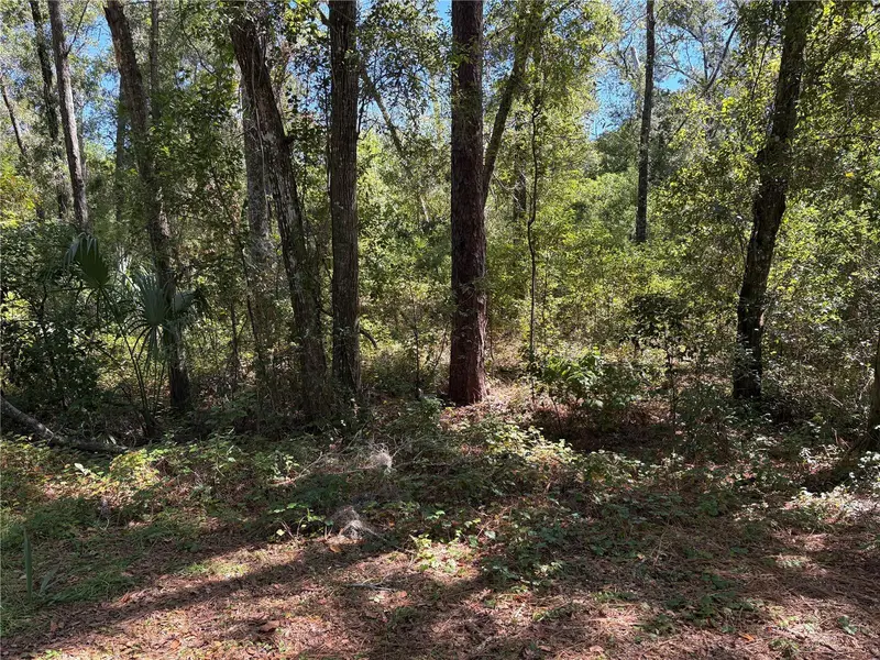 1222 Clover Ter, FL