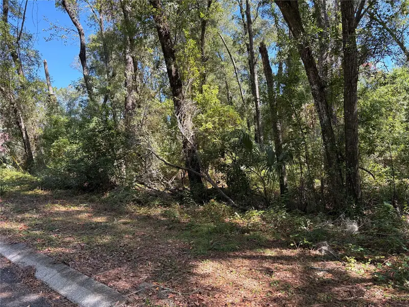 1222 Clover Ter, FL