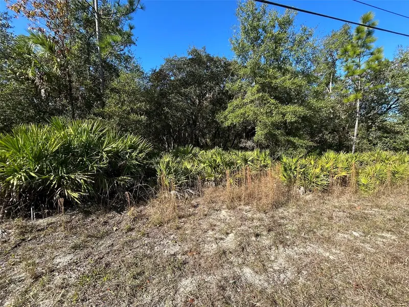 632 N Dunkenfield Ave, FL