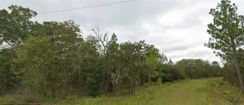 Ne 151 Ter, FL