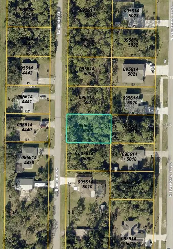 Bamonte St, FL