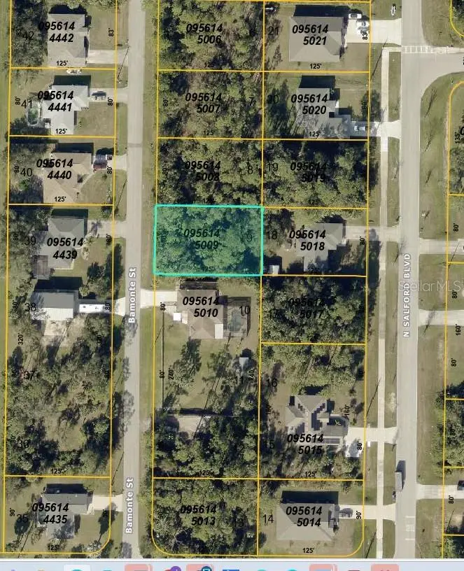 Bamonte St, FL