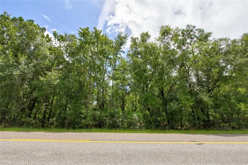 Starry St #Lot 5, FL