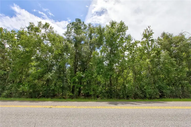 Starry St #Lot 4, FL
