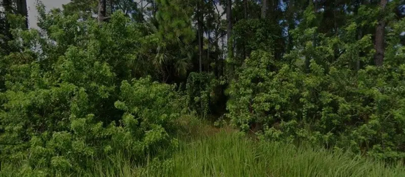447 Trumpet St Sw, FL