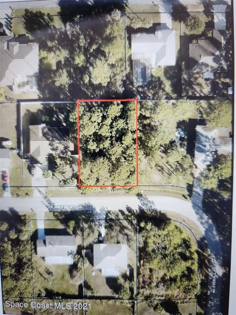 447 Trumpet St Sw, FL