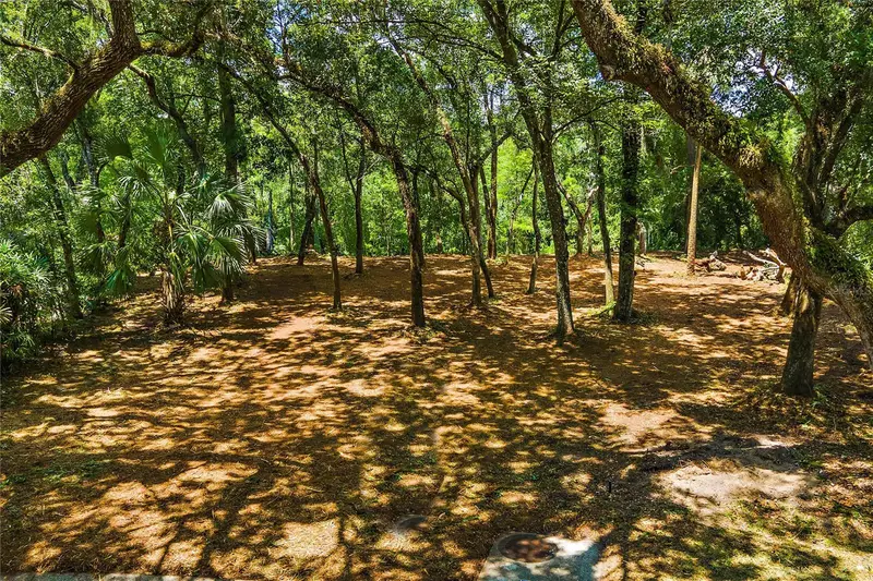 11731 Gail Dr, FL