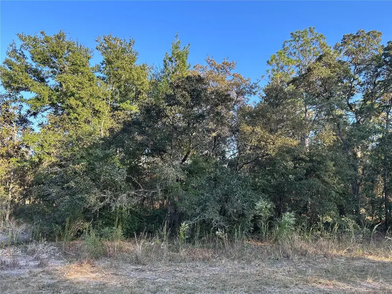 Tbd Ne 148 Ter, FL