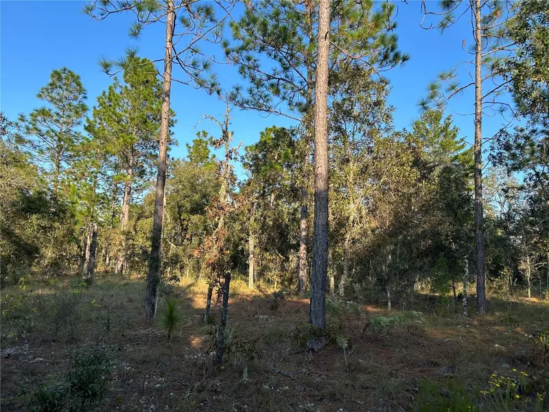 Tbd Ne 148 Ter, FL