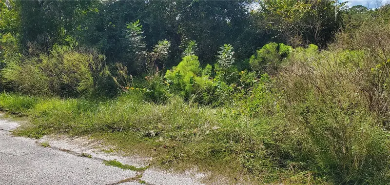 Sebring Ct, FL