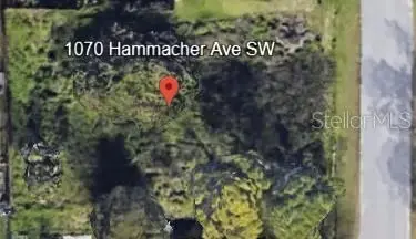 1070 Hammacher Ave Sw, FL