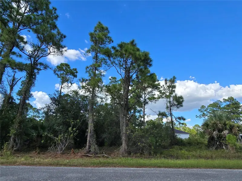 1017 Lakeside Dr, FL