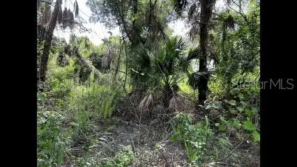 Alpen Ave, FL
