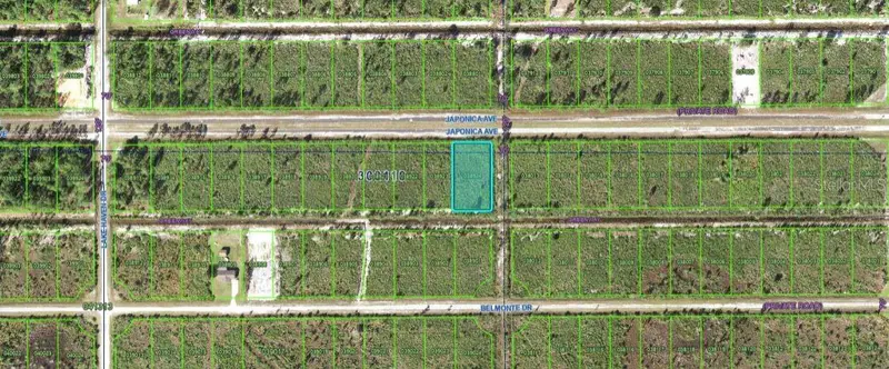 501 Japonica Ave, FL