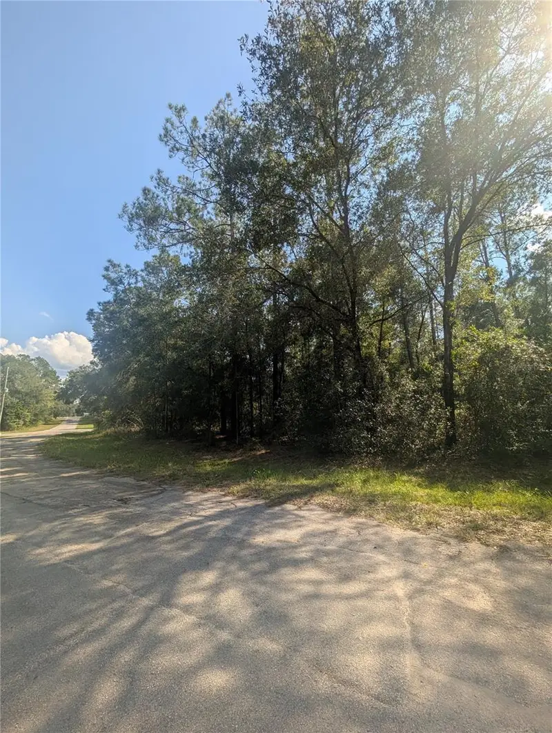 10484 N Holcomb Dr, FL