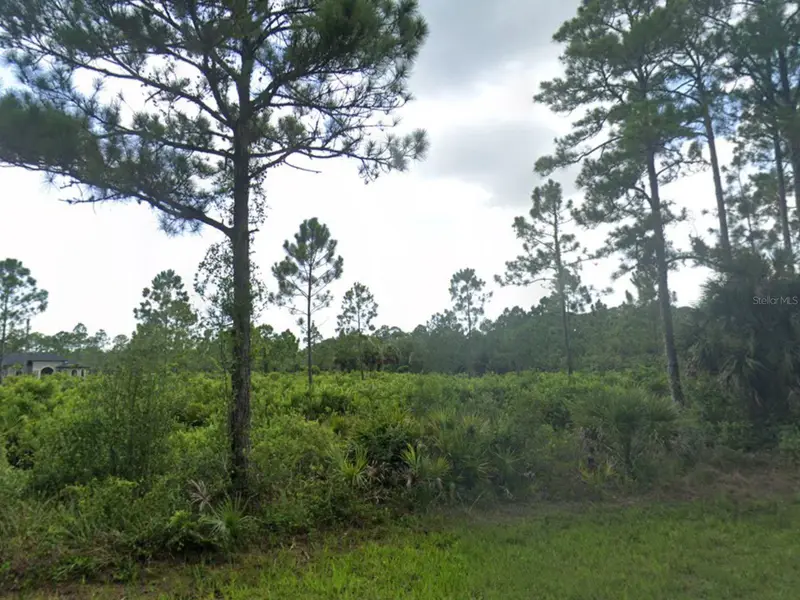 463 Reese St, FL