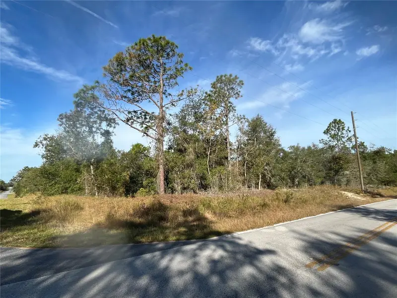 00 Sw Breezy Point Dr, FL
