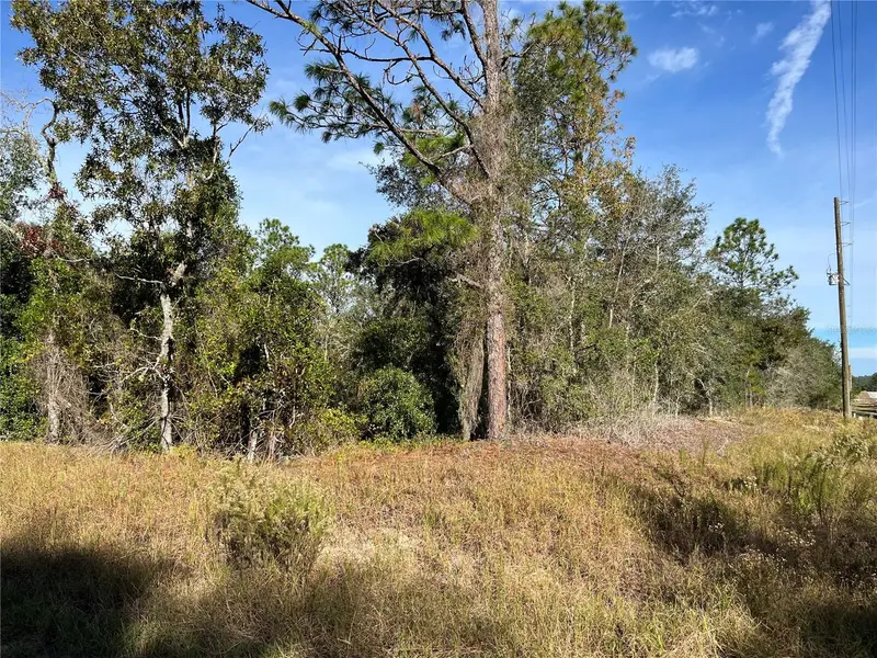 00 Sw Breezy Point Dr, FL