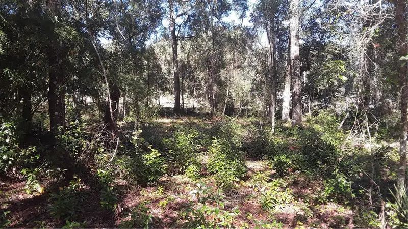 Lot 33 Sw Neptune Blvd, FL
