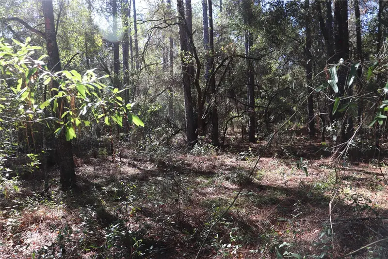 00 Sw 39 St, FL