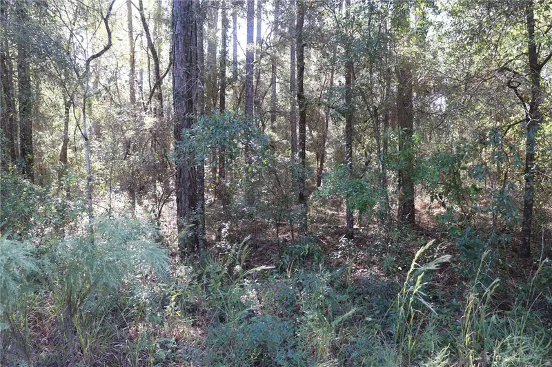 00 Sw 39 St, FL