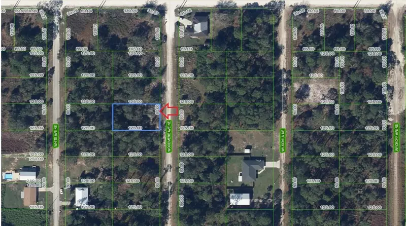 107 Woodmere Ave Ne, FL