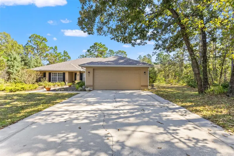 5 Boxleaf, FL
