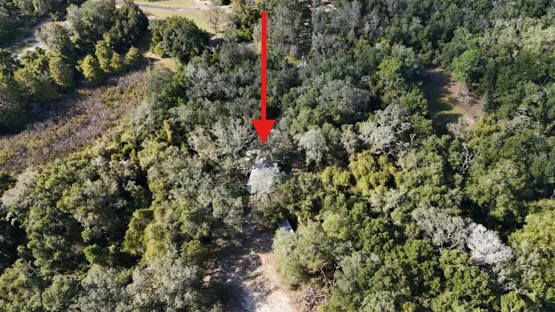 8735 Cr 631a, FL