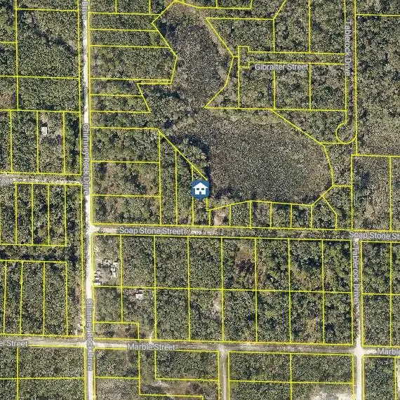 Lot 37 Soap Stone St, FL