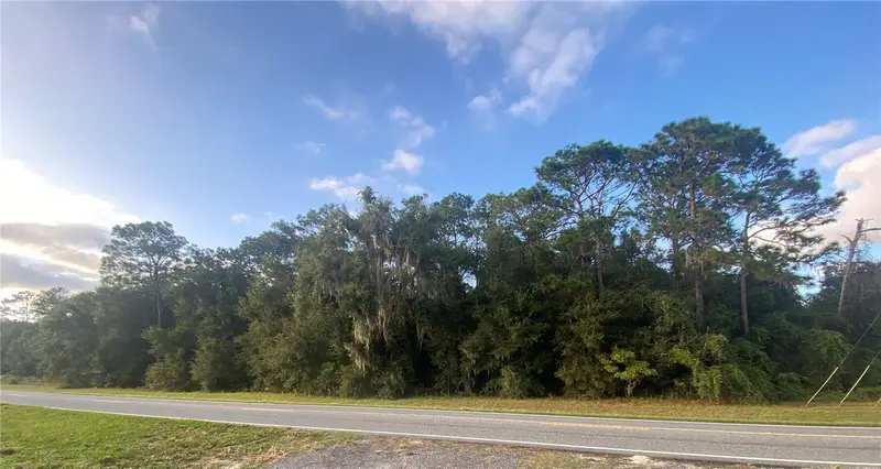 0 County Road 466, FL