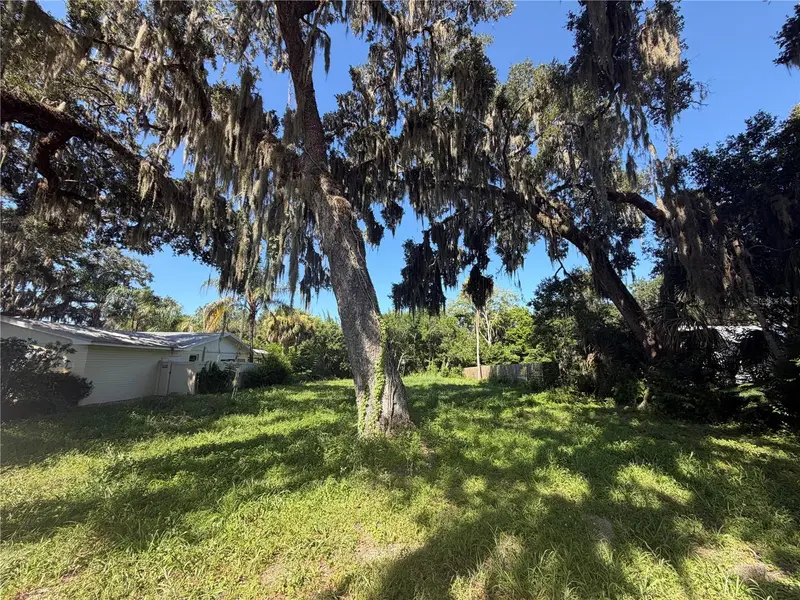 1308 Live Oak St, FL