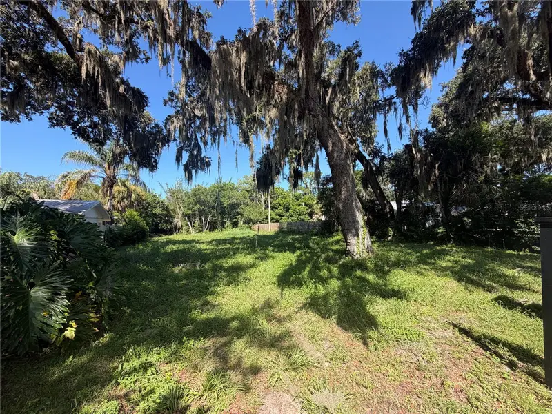 1308 Live Oak St, FL