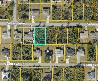 Delong Ave, FL