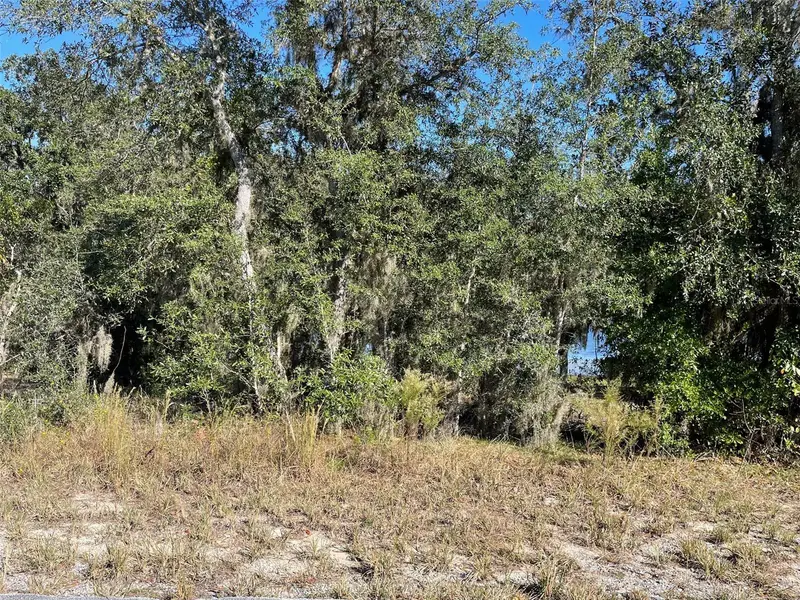 Lots 444, 445 Sw Shorewood Dr, FL