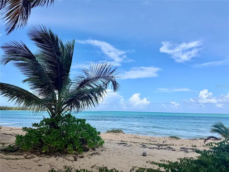 2903 Urb. Ocean Forest #3, PR
