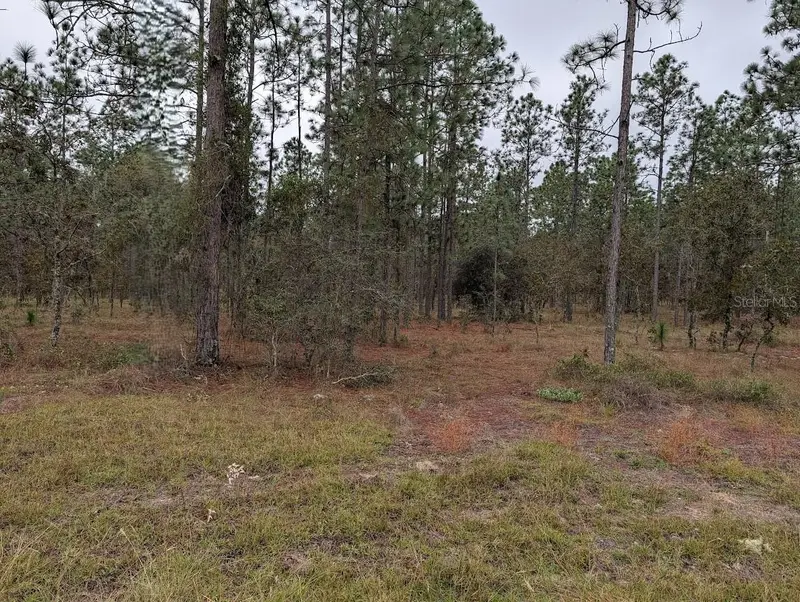 Lot 13 Nw Geranium Ave, FL