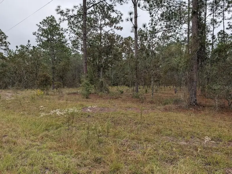 Lot 13 Nw Geranium Ave, FL