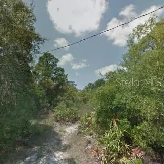 Hedges St, FL